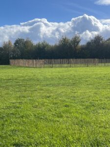 28D36F32-32DB-4FFD-8799-D67BDCC1A0F7