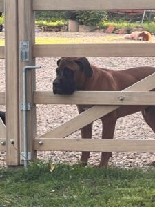 8A927C5D-4F2A-4B37-AA8A-66F382812AA2