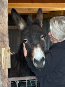 C66D841A-2304-4783-A36A-A1676B6818F1